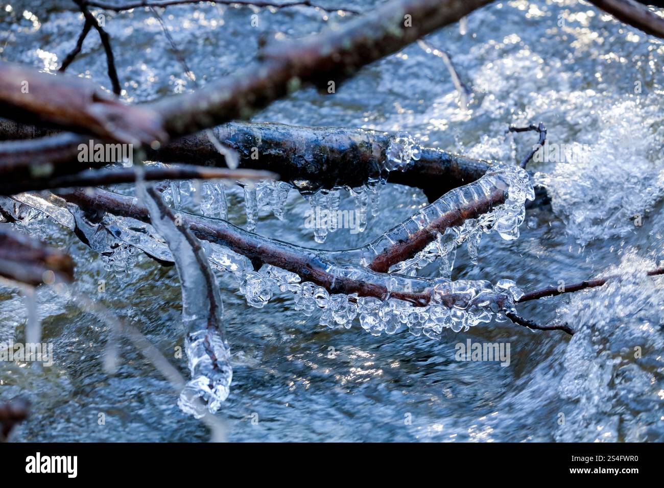 Fluss und Eis auf Ästen fließendes Wasser Natur Hintergrund Stockfoto