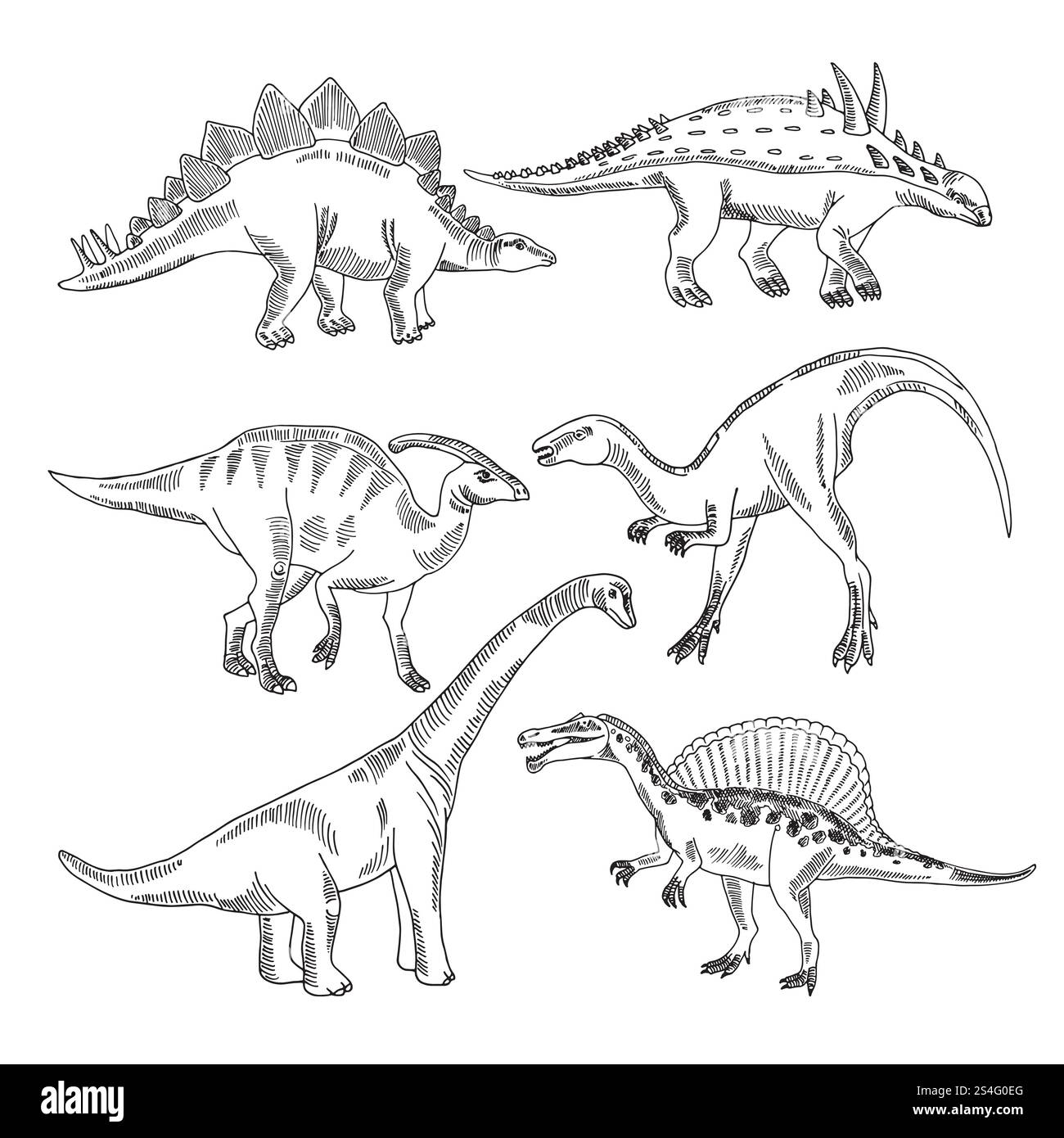 Stegosaurus, triceratops tyrannosaurus und andere Dinosaurierarten. Vektor-handgezeichnete Bilder isolieren. Illustration von Vintage-Reptilien. Stegosaurus, triceratops tyrannosaurus und andere Dinosaurierarten. Vektor-handgezeichnete Bilder isolieren Stock Vektor