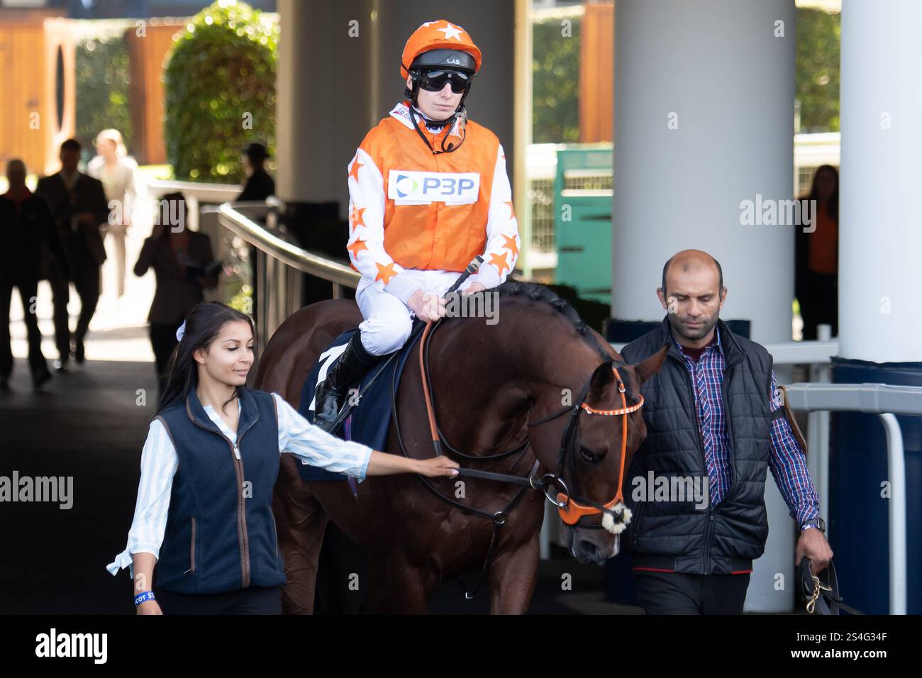 Ascot, Berkshire, Großbritannien. Oktober 2024. EINE WAHRE LEGENDE, die Jockey Luke Morris fährt, geht auf die Rennstrecke für die Colliers Handicap Stakes (Klasse 3) beim BetMGM Autumn Friday Raceday auf der Ascot Racecourse in Berkshire. Kredit: Maureen McLean/Alamy Stockfoto