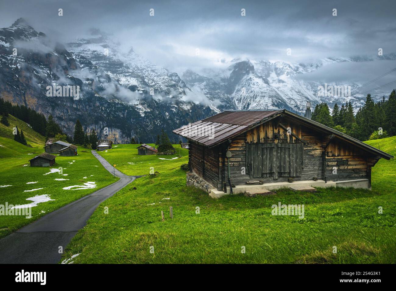 Frühlingslandschaft mit alpinen Holzscheunen auf den grünen Feldern und nebelverschneiten Bergen im Hintergrund, Murren, Lauterbrunnen Tal, Berner Oberland, S Stockfoto