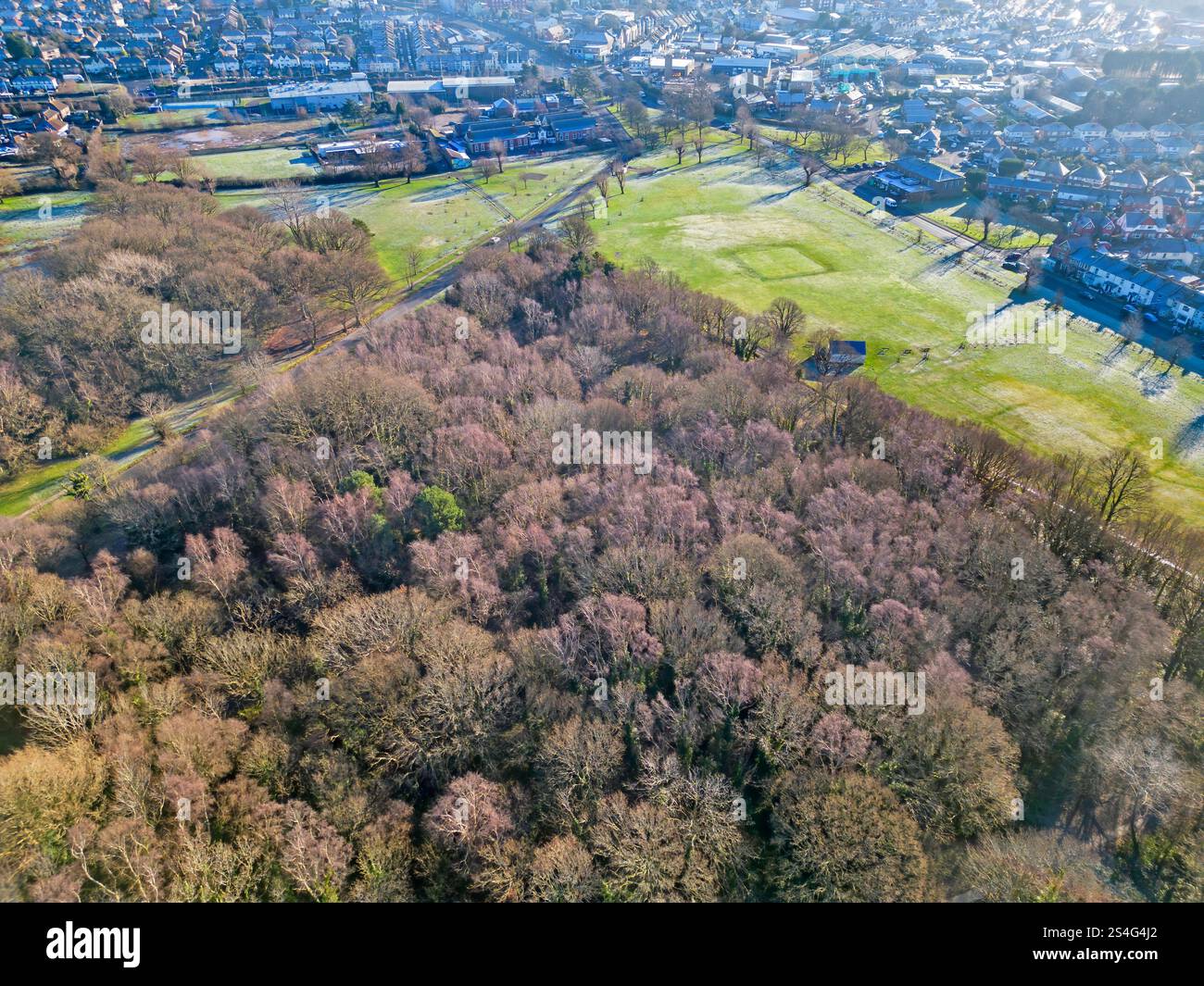 Aus der Vogelperspektive auf bexhill Downs, Wald und Park in bexhill am Meer östlich von sussex Stockfoto