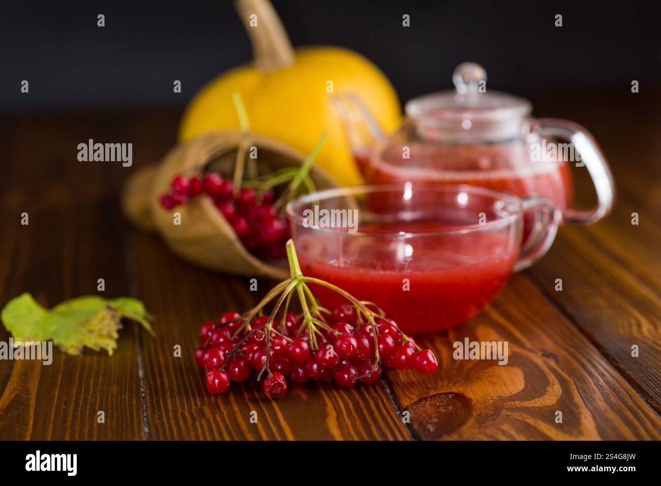 Tee aus reifem roten Viburnum auf einem Holztisch. Stockfoto