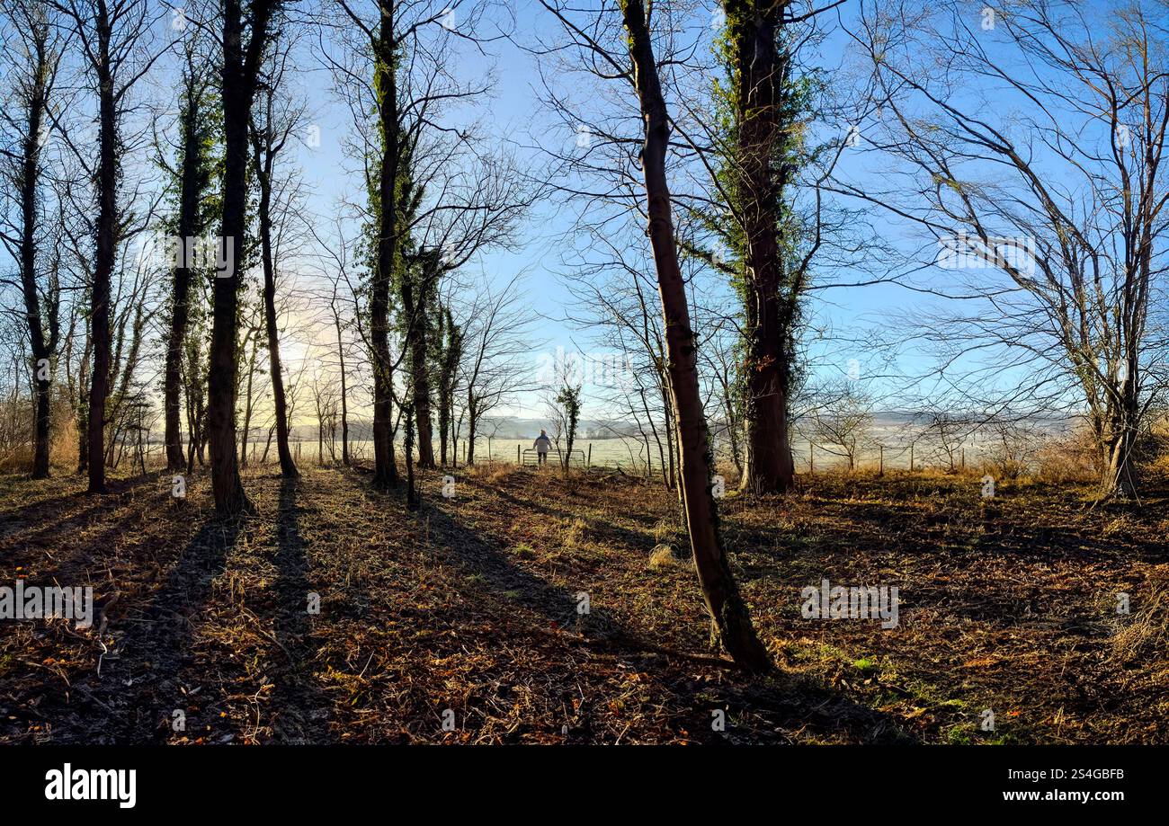 Figur in einer Waldszene im Winter - North Yorkshire im Vereinigten Königreich. Stockfoto