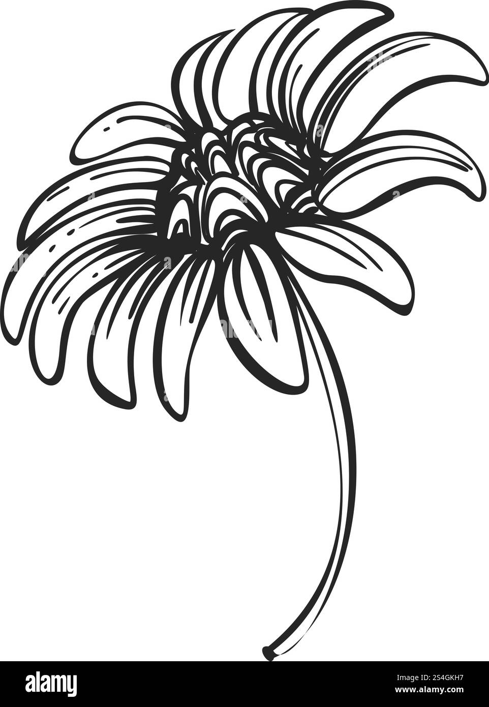 Bio Kamillensymbol. Einfache Illustration des Bio-Kamillenvektorsymbols für Webdesign isoliert auf weißem Hintergrund. Bio Kamillensymbol, einfacher Stil Stock Vektor