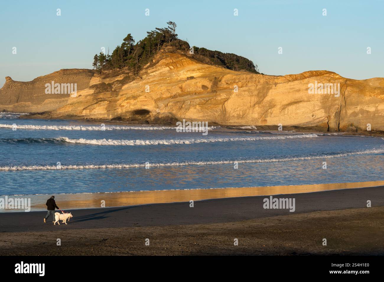 Spaziergang mit einem Hund am Kiwanda Beach, Oregon. Stockfoto