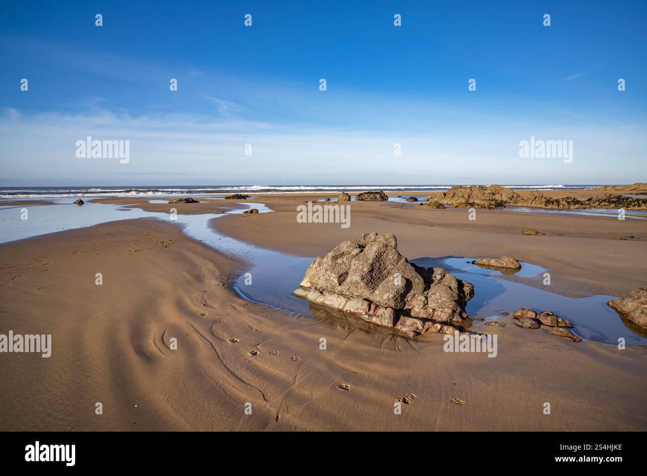 Hundeschlittenabdrücke im Sand am Cornwall Beach Stockfoto