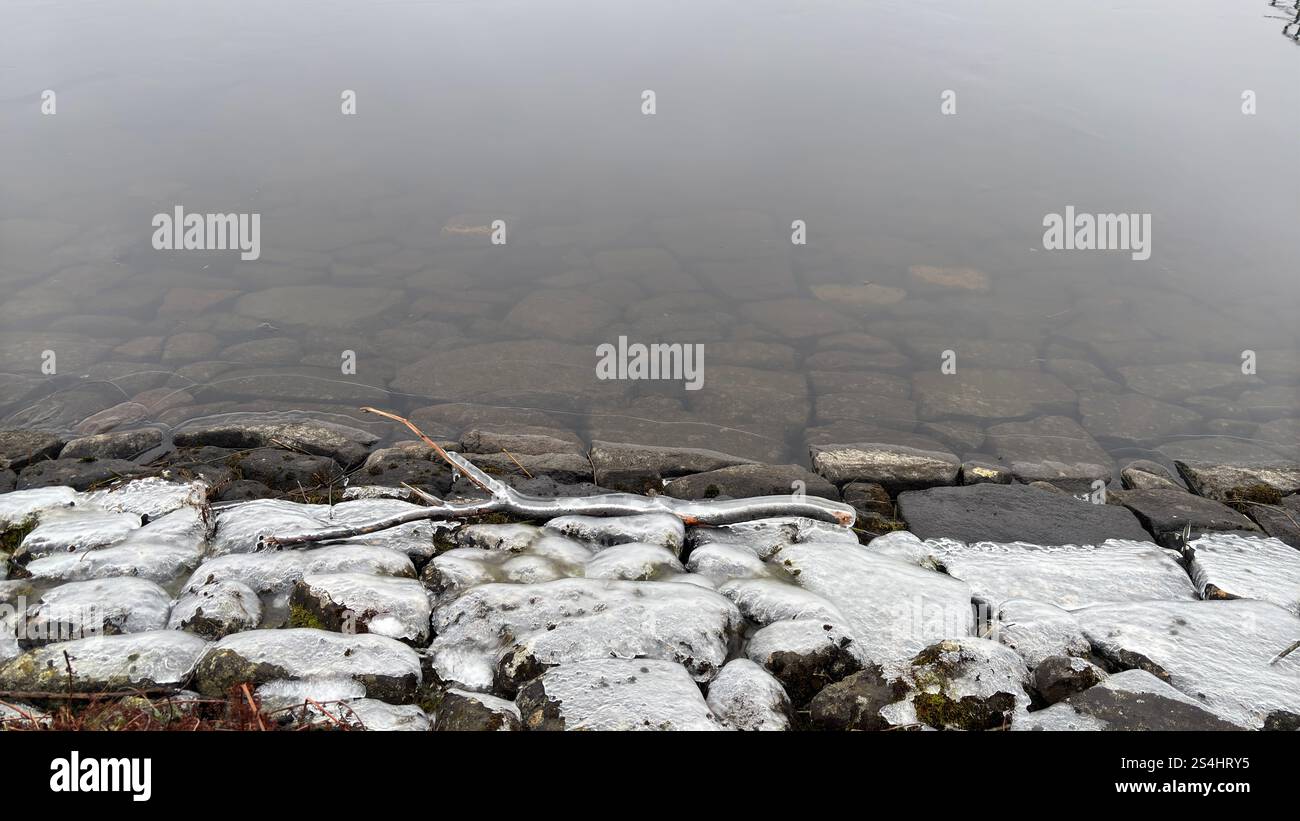 Gefrorenes Loch in Schottland mit eisbedecktem Ast und Frost auf den Steinen am Ufer. Kalter Winter, schottische Szene - Smartphone-aufgenommenes Stockfoto