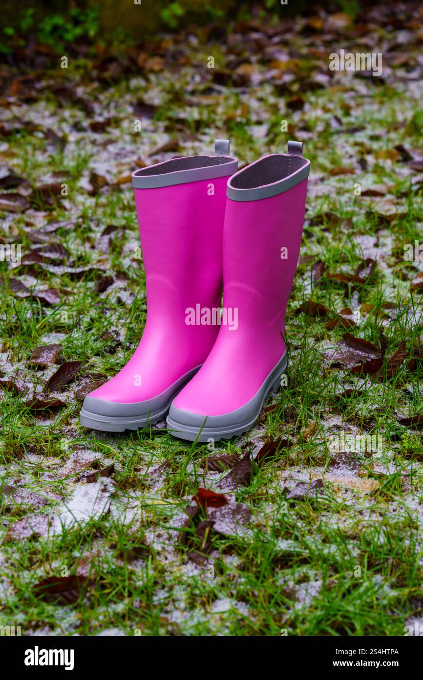 Ein Paar leuchtend rosa Gummistiefel aus wellington auf Gras mit Frost. Die helle Farbe steht im Kontrast zu den braunen Blättern und dem grünen Gras. Stockfoto