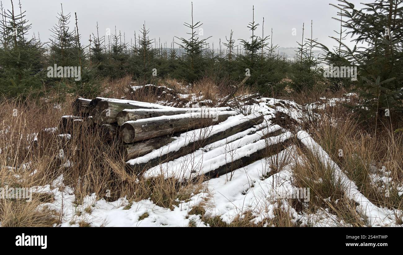 Ein Holzhaufen in den Bergen Schottlands im Winter mit Schneedecke - Smartphone-aufgenommenes Stockfoto