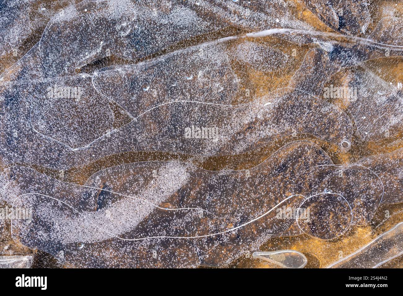 Eine gefrorene Pfütze voller tausender winziger Luftblasen, die von der Wintersonne beleuchtet werden und komplizierte Muster und Texturen im Eis erzeugen Stockfoto