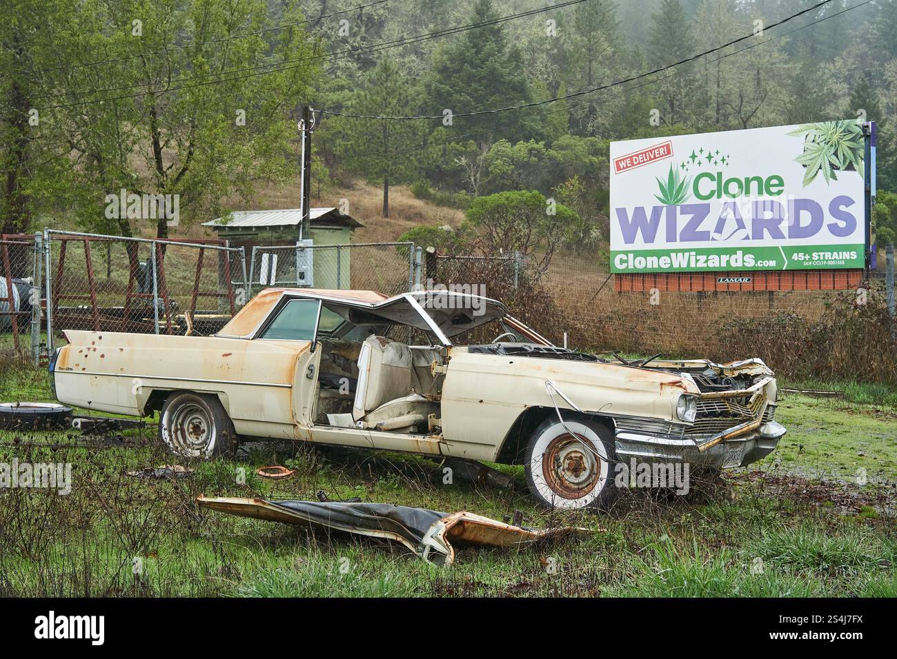 Seitenansicht eines Junk Car in der Nähe einer Werbetafel für Clone Wizards Cannabis Nursery in Willits, Kalifornien. Stockfoto