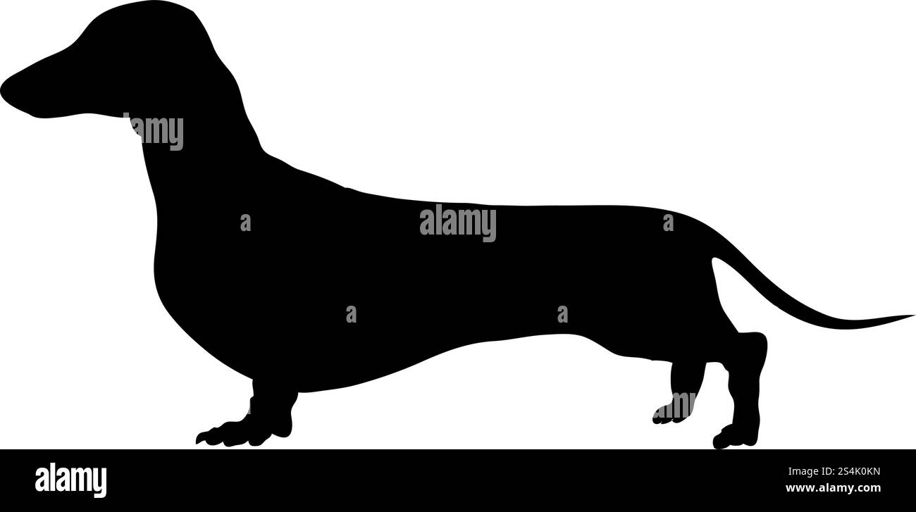 Dackel Hund Silhouette. Glatte Vector Illustration. Stock Vektor
