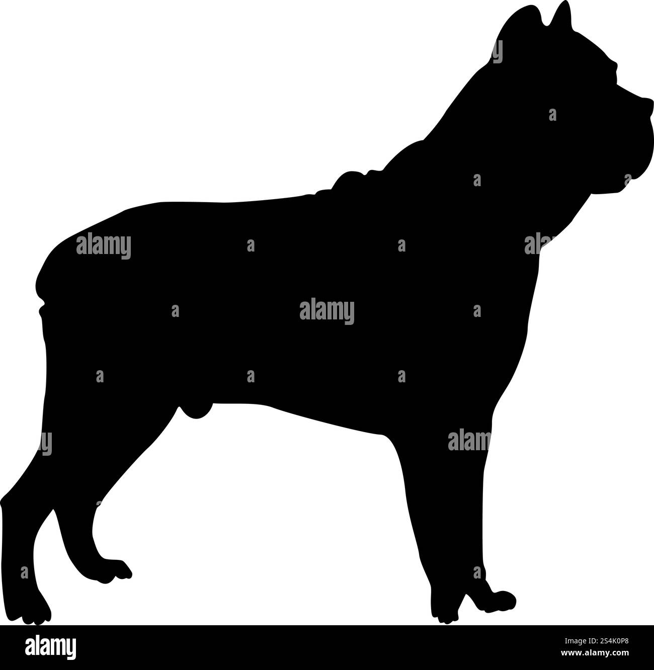 Boxer Hund Silhouette. Glatte Vector Illustration. Stock Vektor