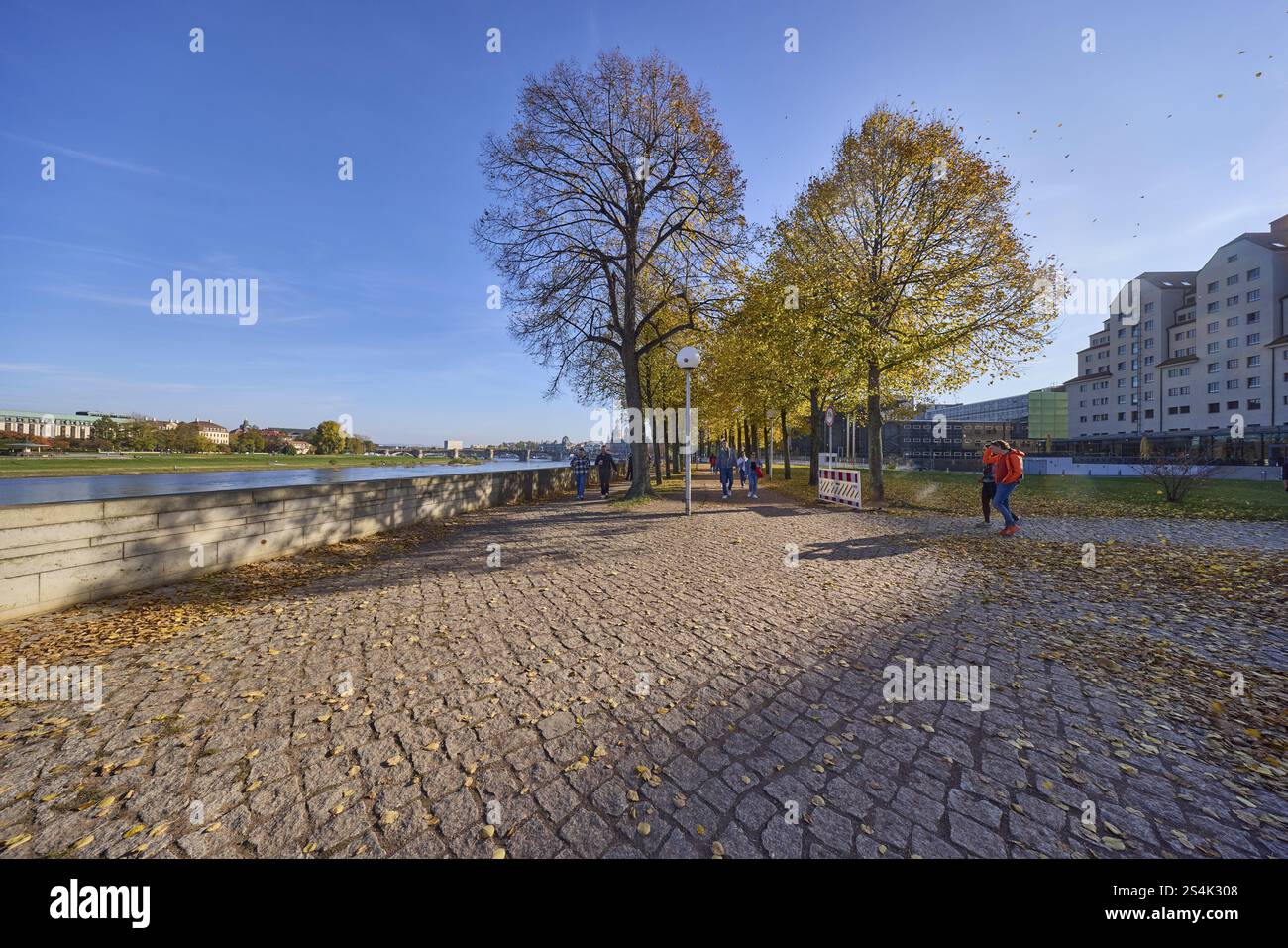 Elbufer, Elbe, Fußweg, Radweg, Bäume, Lindenbäume (Tilia), herbstlich lichtdurchflutetes Laub, neue Terrasse, Dresden, Landeshauptstadt, unabhängig Stockfoto