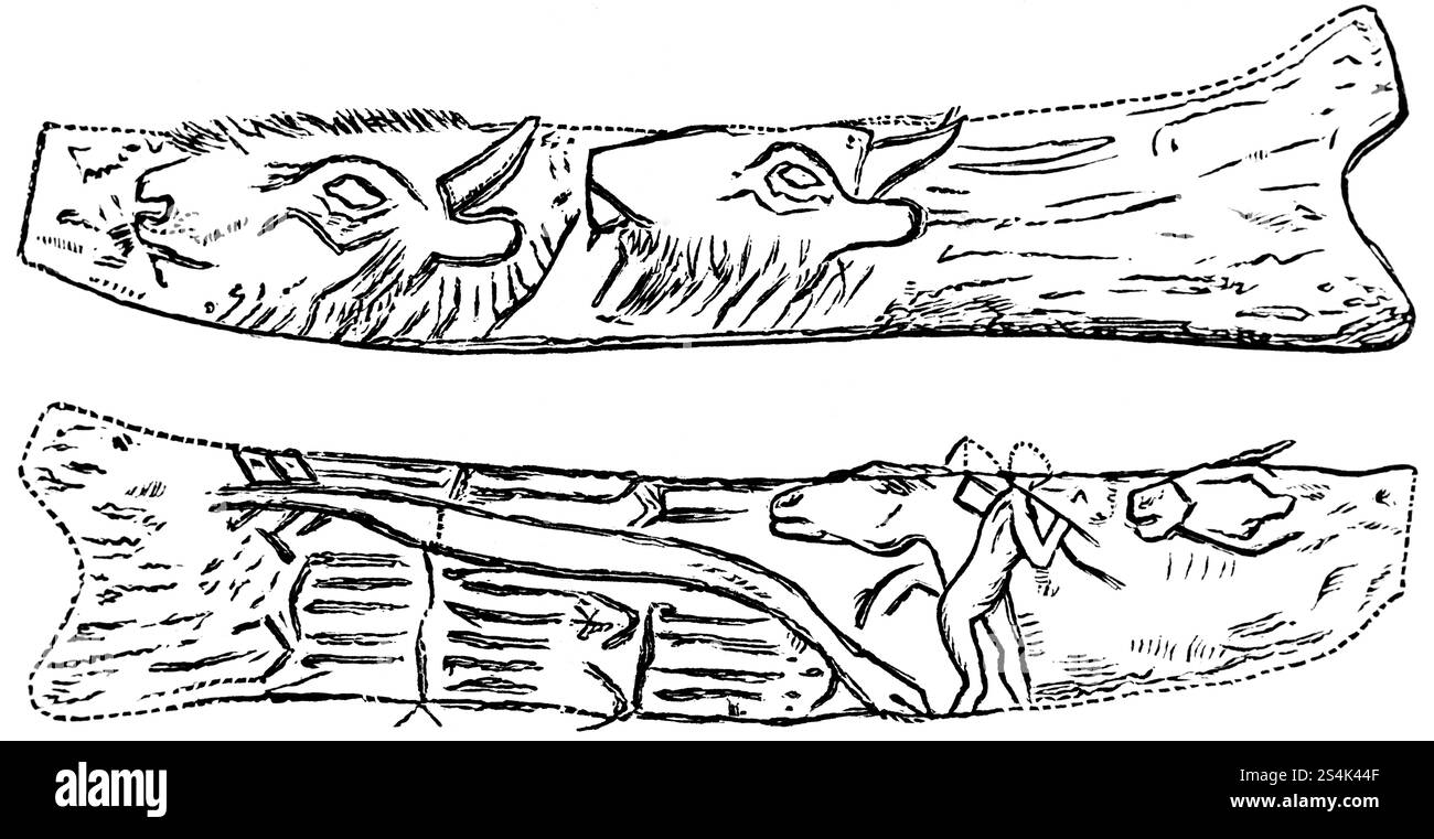 Dekorierte Rentiergeweihe, möglicher Ort die archäologischen Ausgrabungen von Abri de la Madeleine, Dordogne, Tierdarstellungen, Early Stone AG Stockfoto