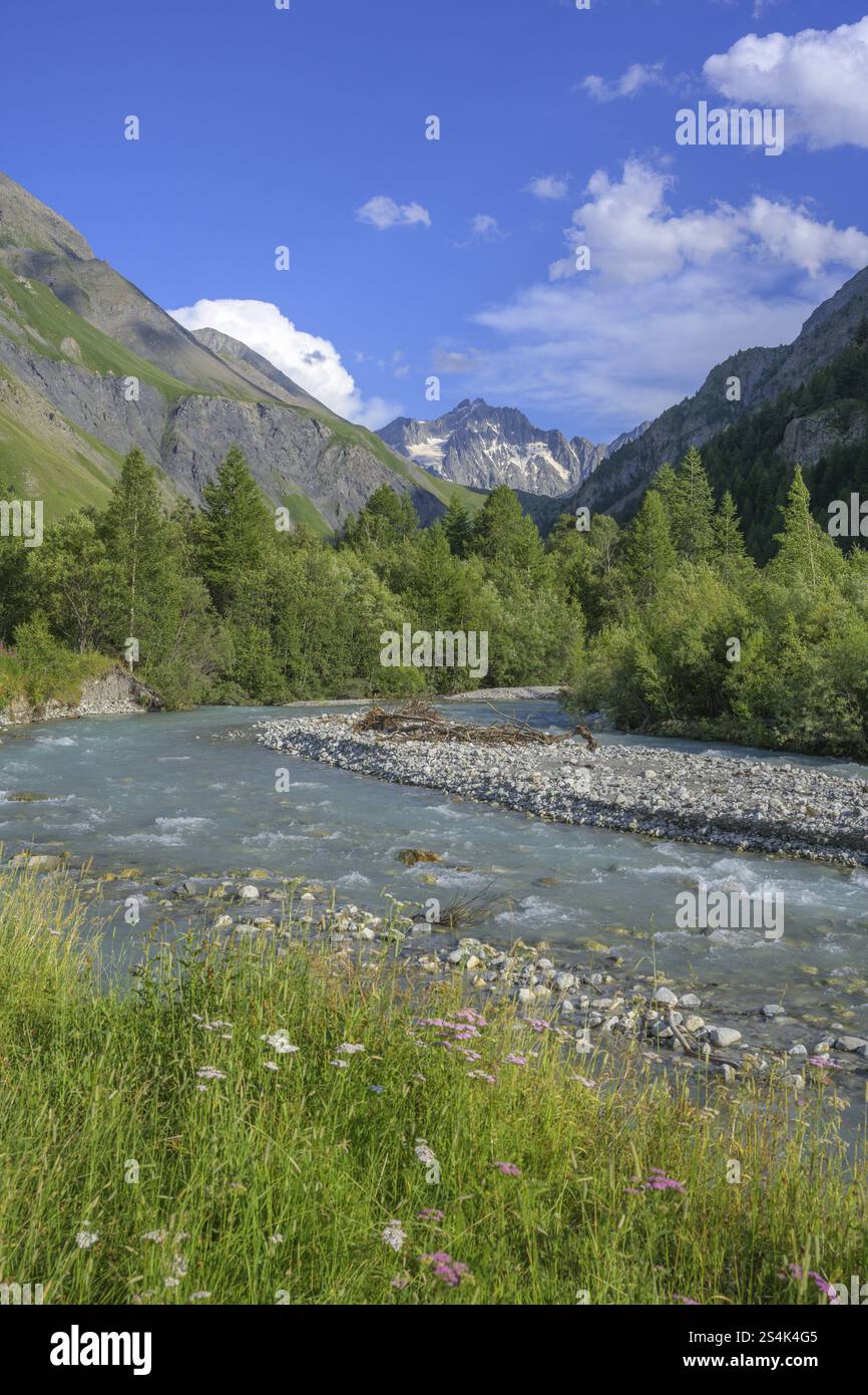 Fluss Romanche, Villar-d'Arene, Departement Hautes-Alpes, Frankreich, Europa Stockfoto