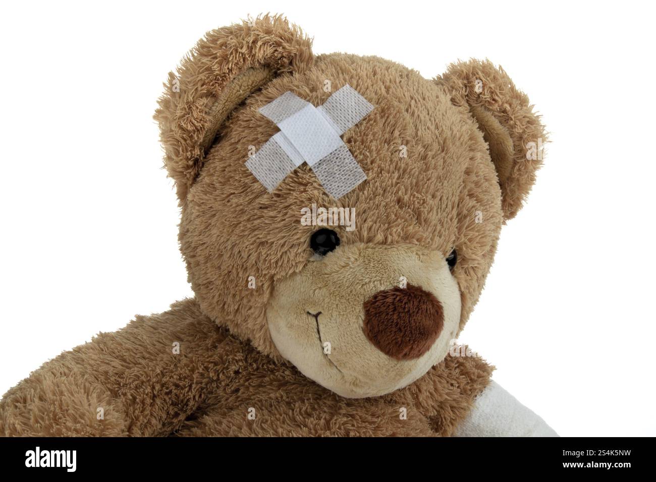 Kranker Bär mit Verband nach Unfall, Österreich, Europa Stockfoto