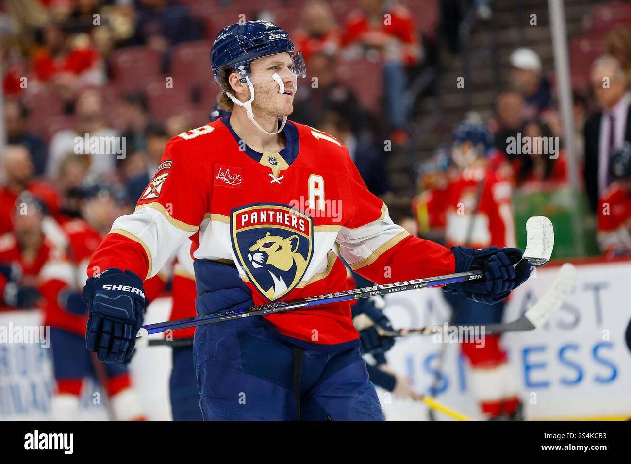 SUNRISE, FL - Florida Panthers Matthew Tkachuk #19 in Aktion (Foto: Chris Arjoon) Stockfoto