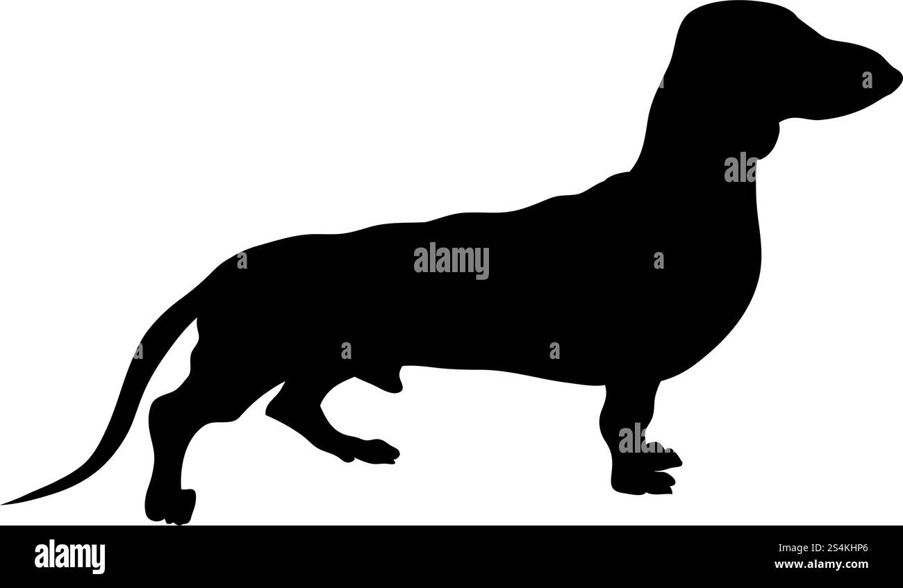Dackel Hund Silhouette. Glatte Vector Illustration. Stock Vektor