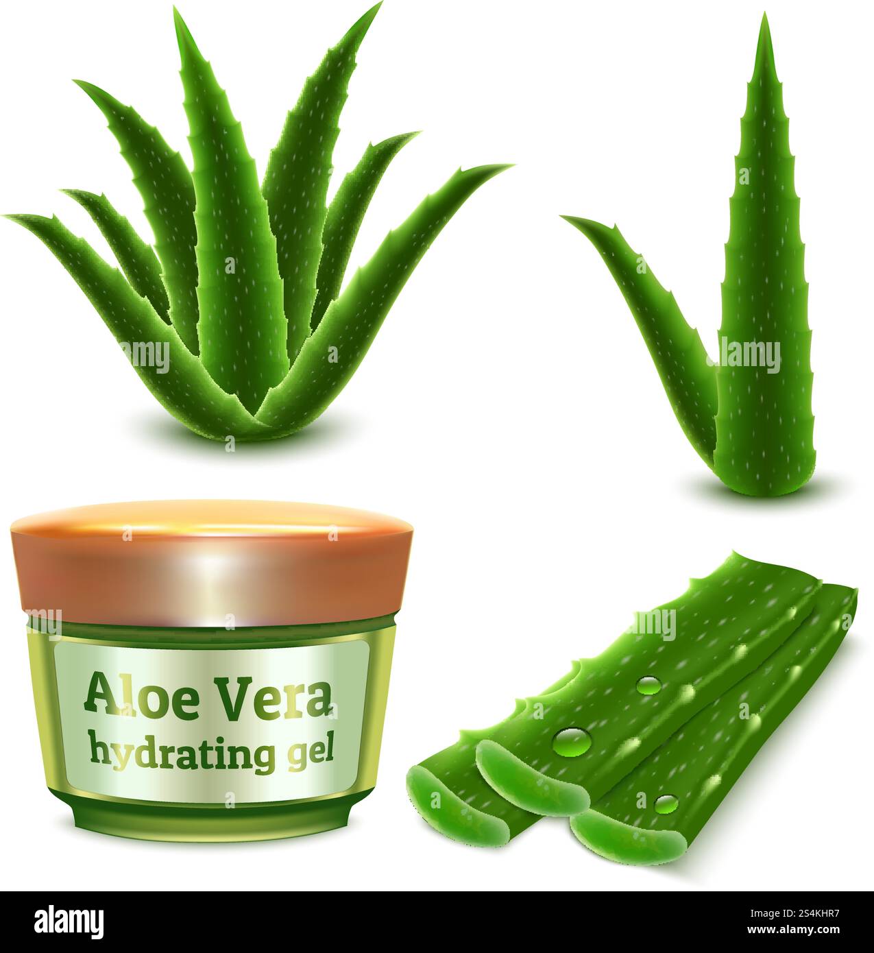 Aloe-Symbole eingestellt. Realistischer Satz von Aloe-Vektorsymbolen für Webdesign isoliert auf weißem Hintergrund. Aloe-Symbole gesetzt, realistischer Stil Stock Vektor