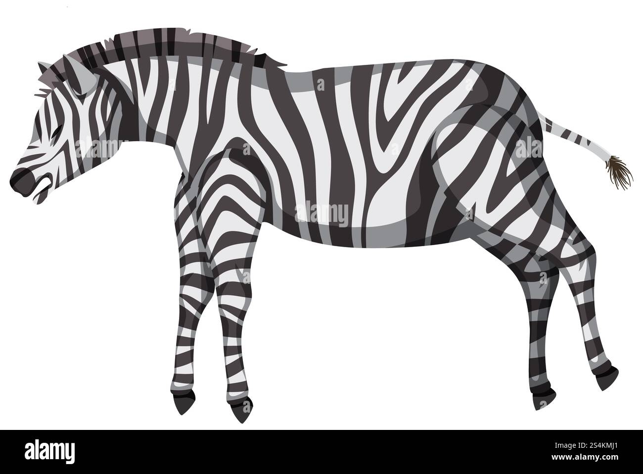 Ein Zebra mit markanten schwarzen und weißen Streifen Stockfoto