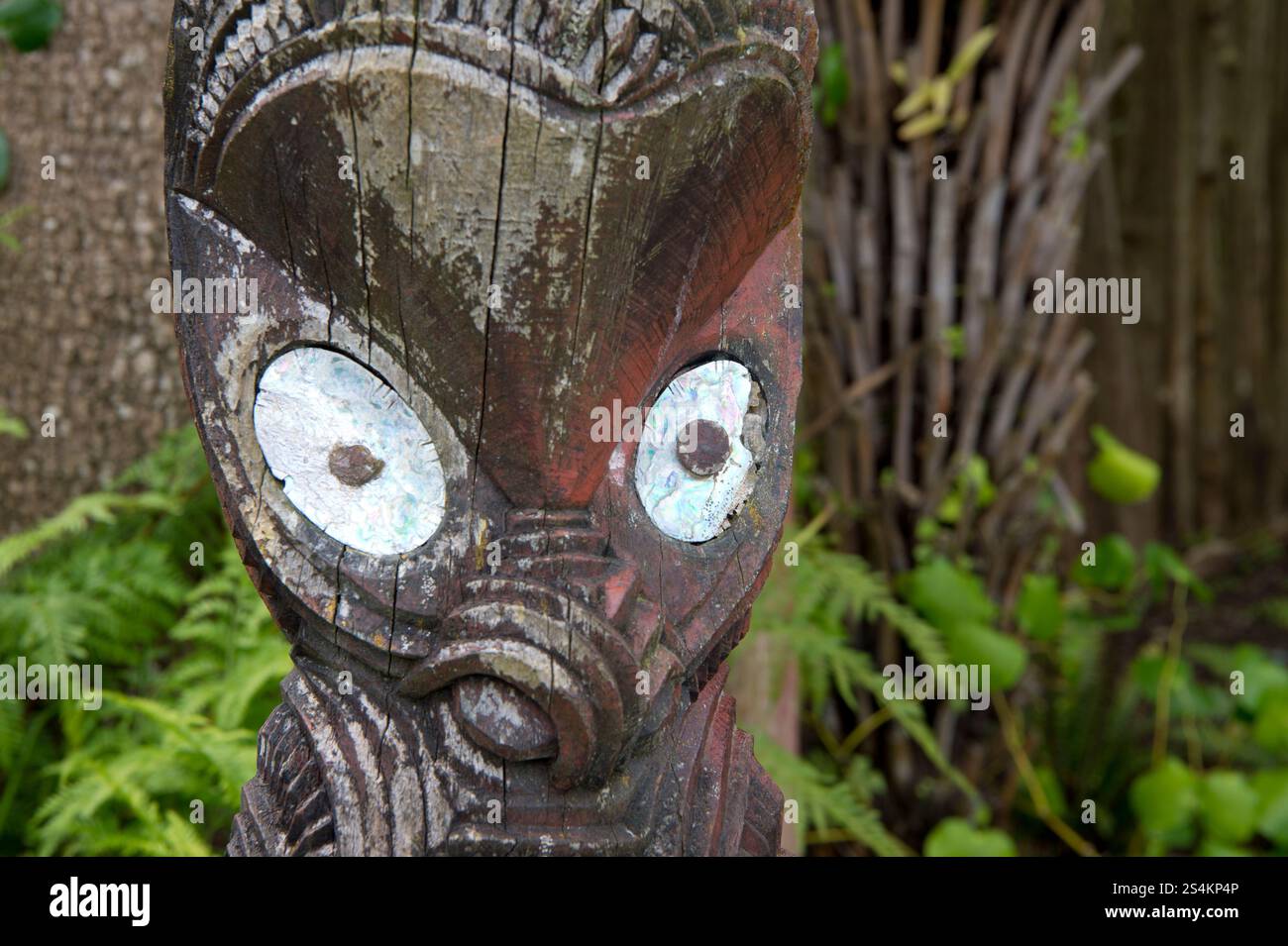 Maori-geschnitzter menschlicher Kopf (Tekoteko) Stockfoto