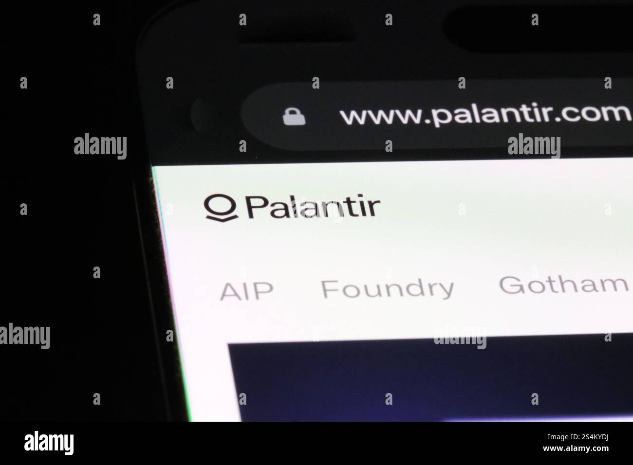 Firmenlogo von Palantir Technologies auf der Website Stockfoto