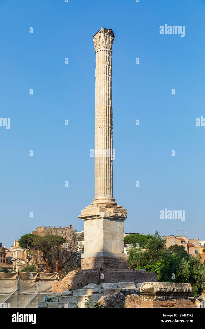 Kolonne von Phocas / Colonna di Foca, Foro Romano, Rom, Italien. Stockfoto