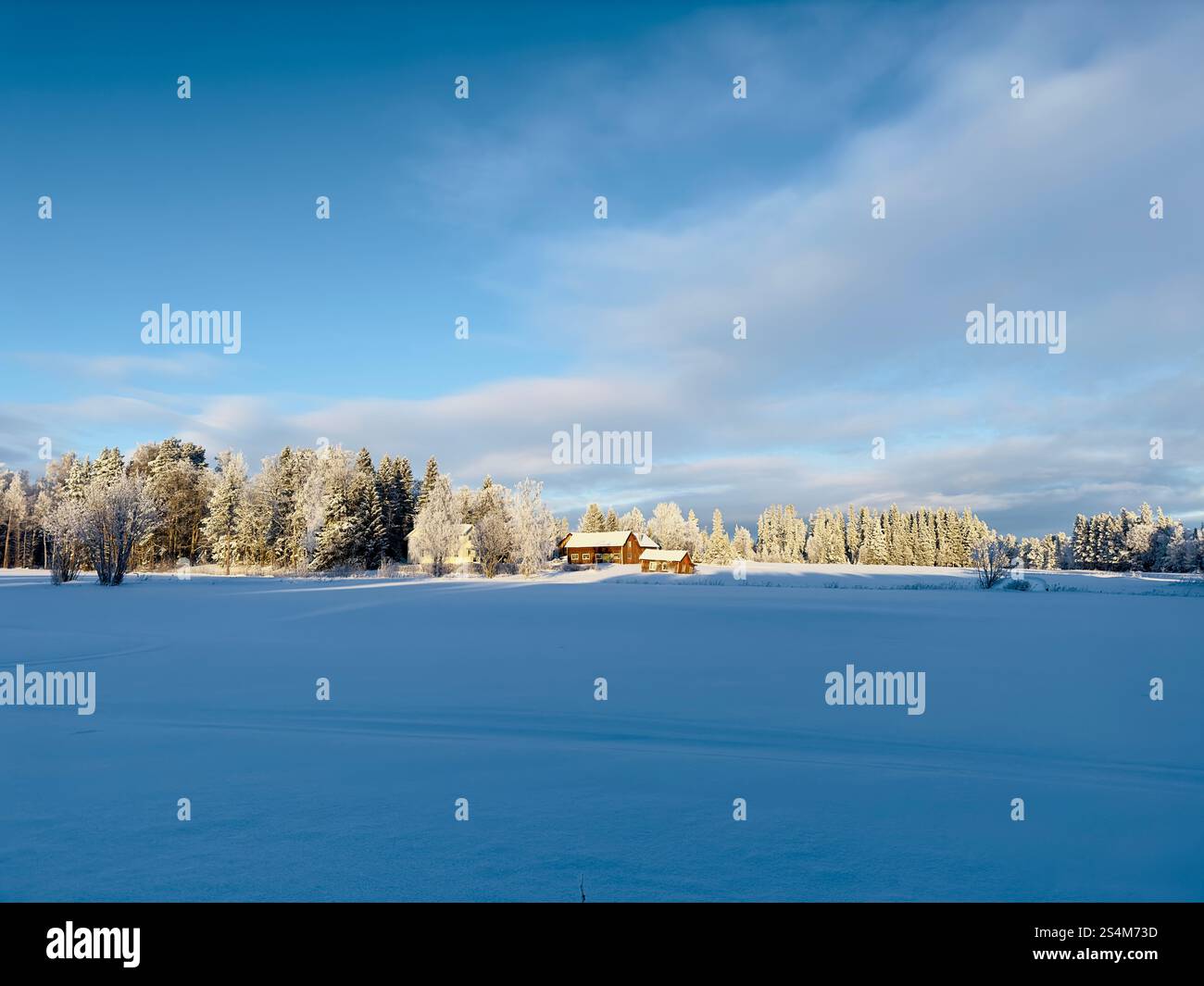 Winterlandschaft von Nordschweden - Smartphone-aufgenommenes Stockfoto