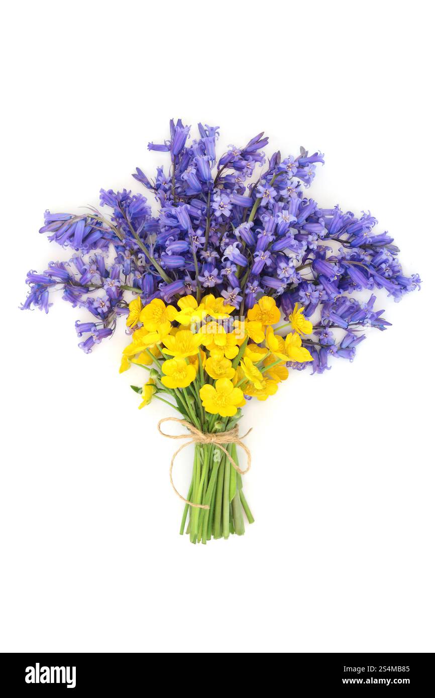 Blumenkraut und Butterblumen auf weiß. Blumenstrauß im Frühling für Beltane, Lovers Geschenk, Muttertag. Stockfoto