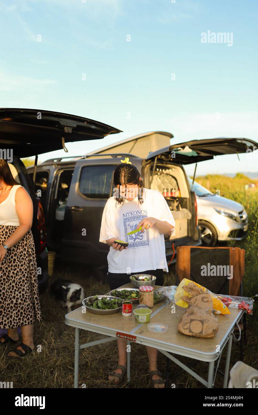 Eine Gruppe genießt ein Picknick im Freien neben ihren geparkten Autos während eines Roadtrips verschiedene Vorspeisen und Salate werden auf einem Klapptisch in einem natura angeboten Stockfoto