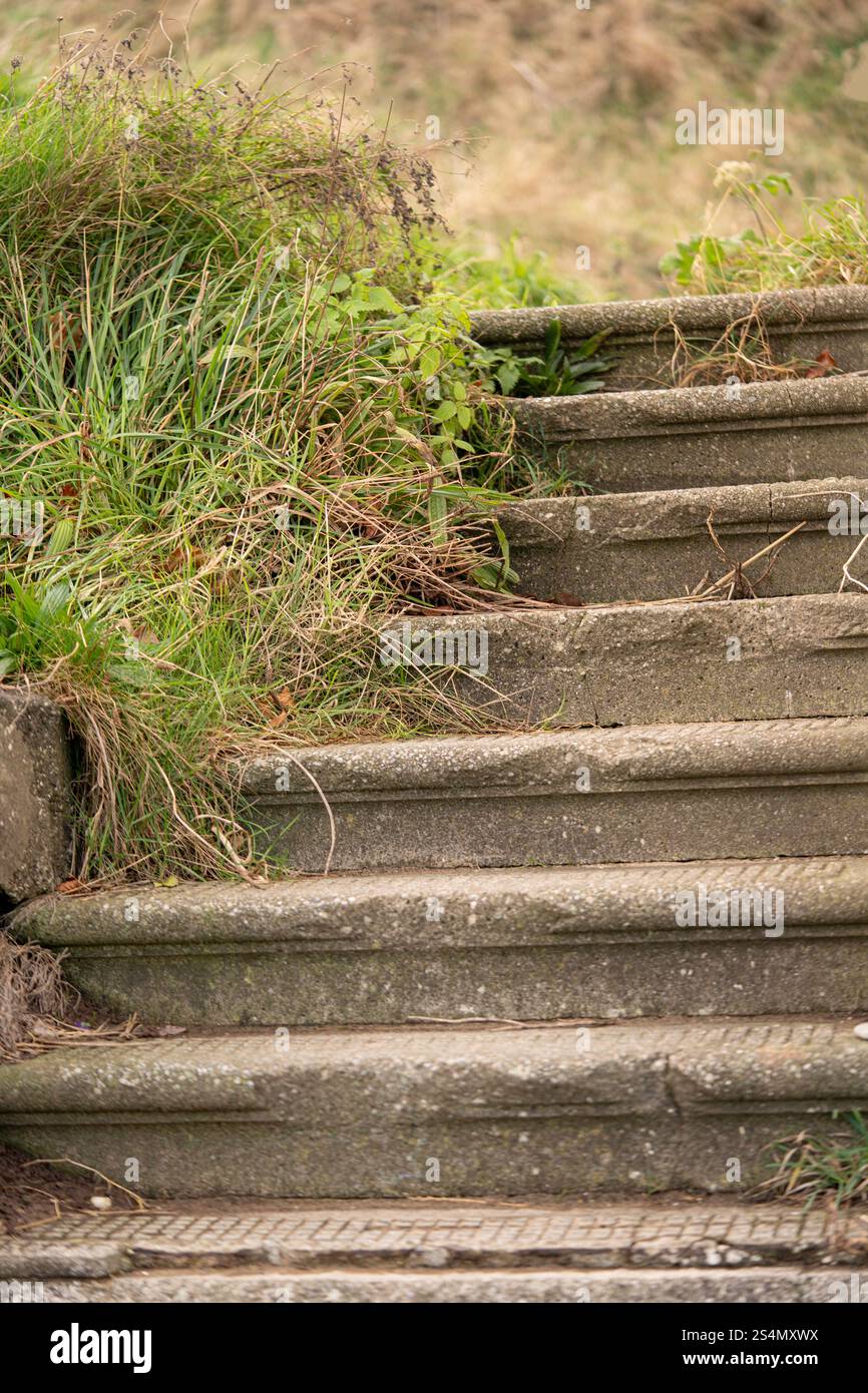 Steintreppen führen auf eine Klippe in saltburn-by-the-Sea, North yorkshire, england, großbritannien Stockfoto
