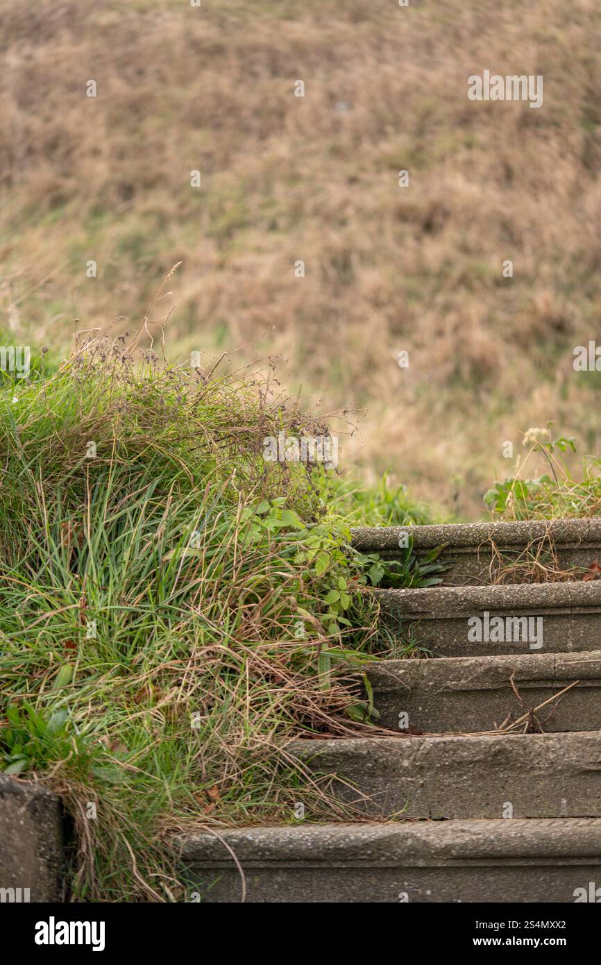 Steintreppen führen auf eine Klippe in saltburn-by-the-Sea, North yorkshire, england, großbritannien Stockfoto