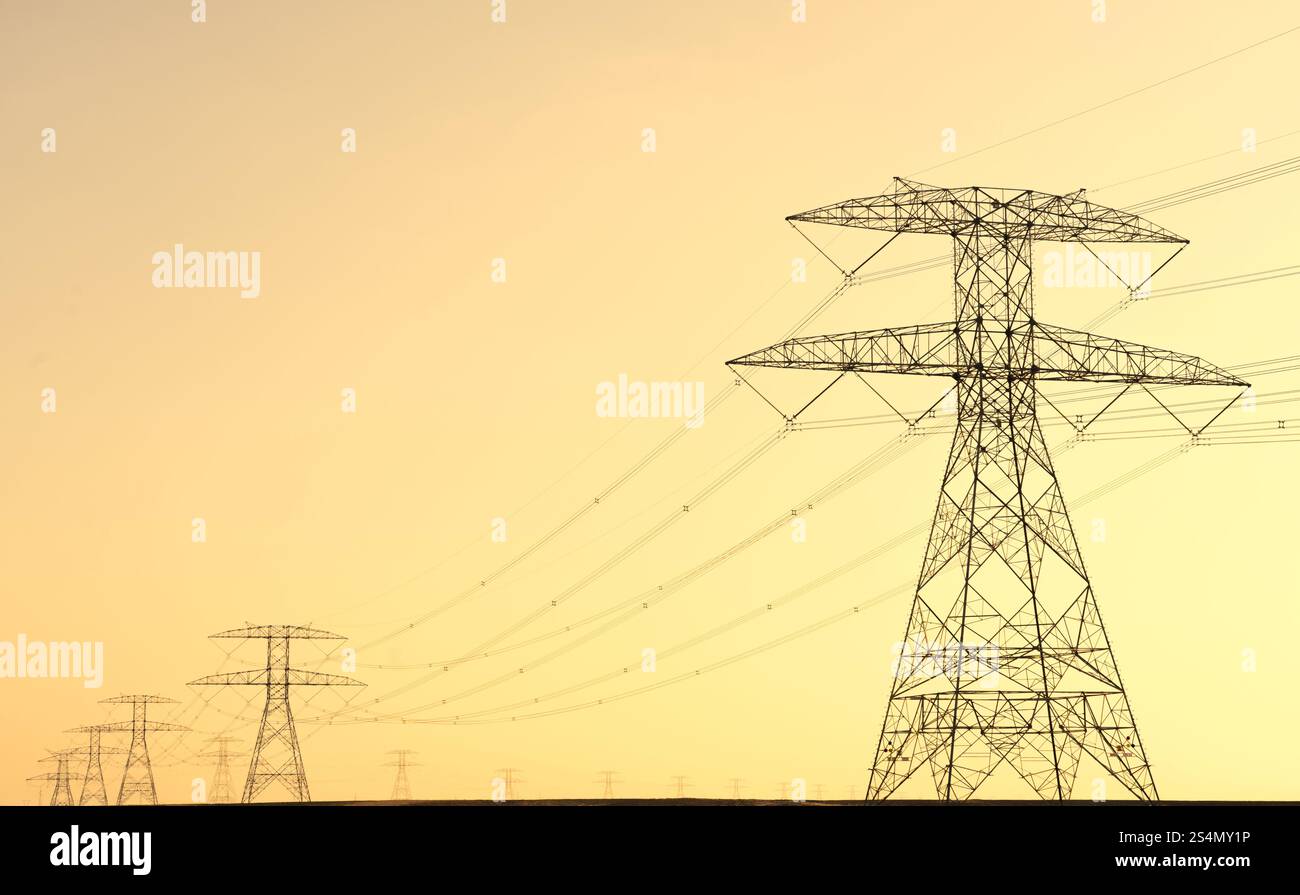 Hohe Stromübertragungstürme erstrecken sich über die Landschaft, die sich vor einem goldenen Himmel abheben und die Energieinfrastruktur und Industrie symbolisieren Stockfoto