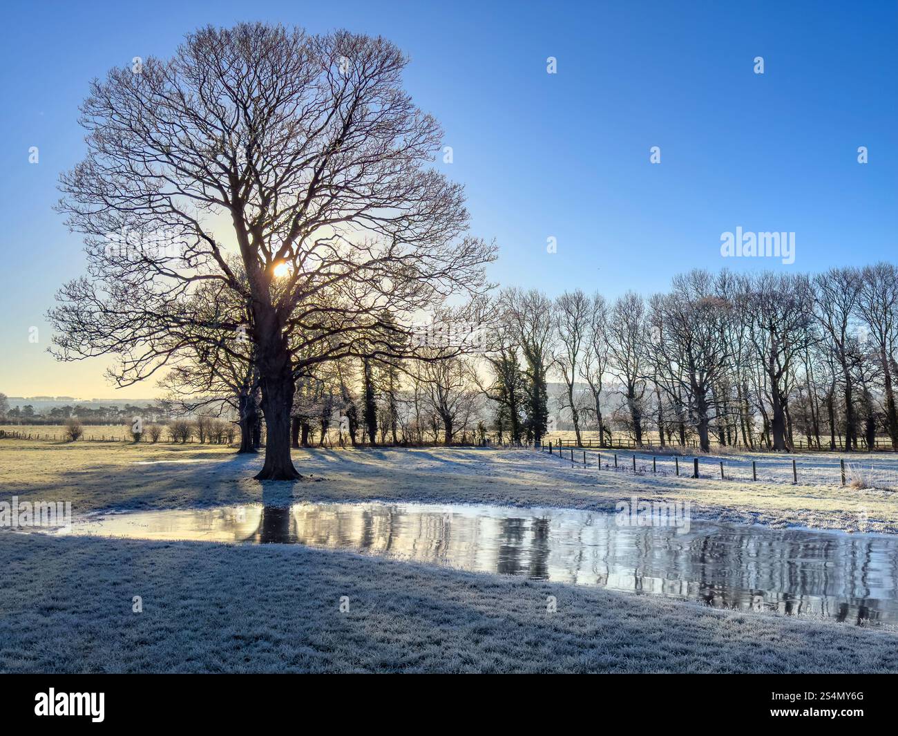 Frostiger Morgen auf dem Land von North Yorkshire im Nordosten Englands Stockfoto