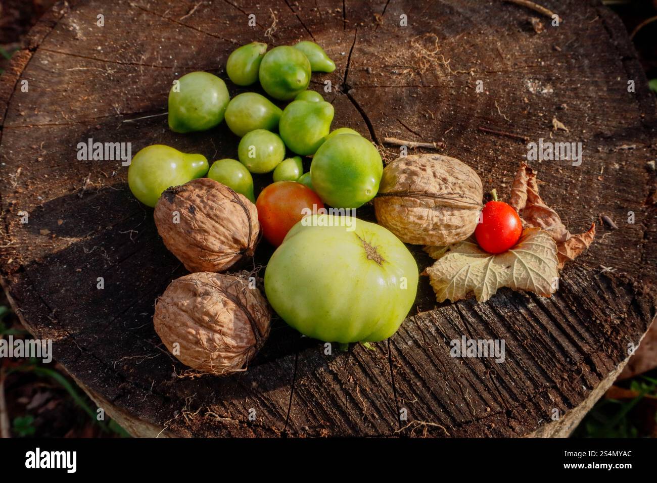 Grüne und rote Tomaten mit Nüssen auf Holzoberfläche Stockfoto
