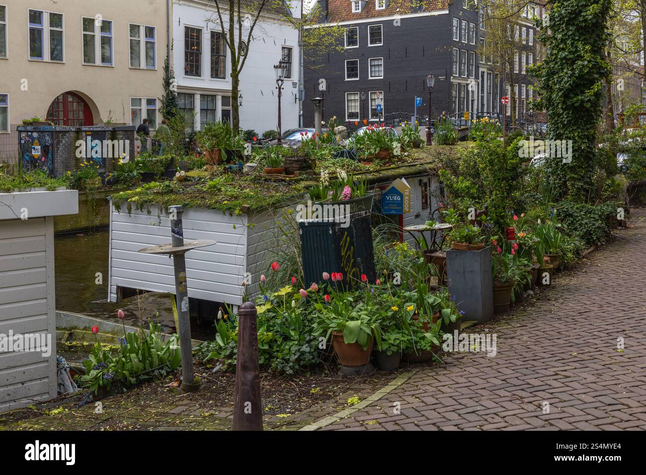 Amsterdam, Niederlande. 23. März 2024. Hausboot zum Verkauf an einem Kanal (raamgracht) in Amsterdam mit einem Dach voller grüner Pflanzen und Blumen (Tulpe Stockfoto