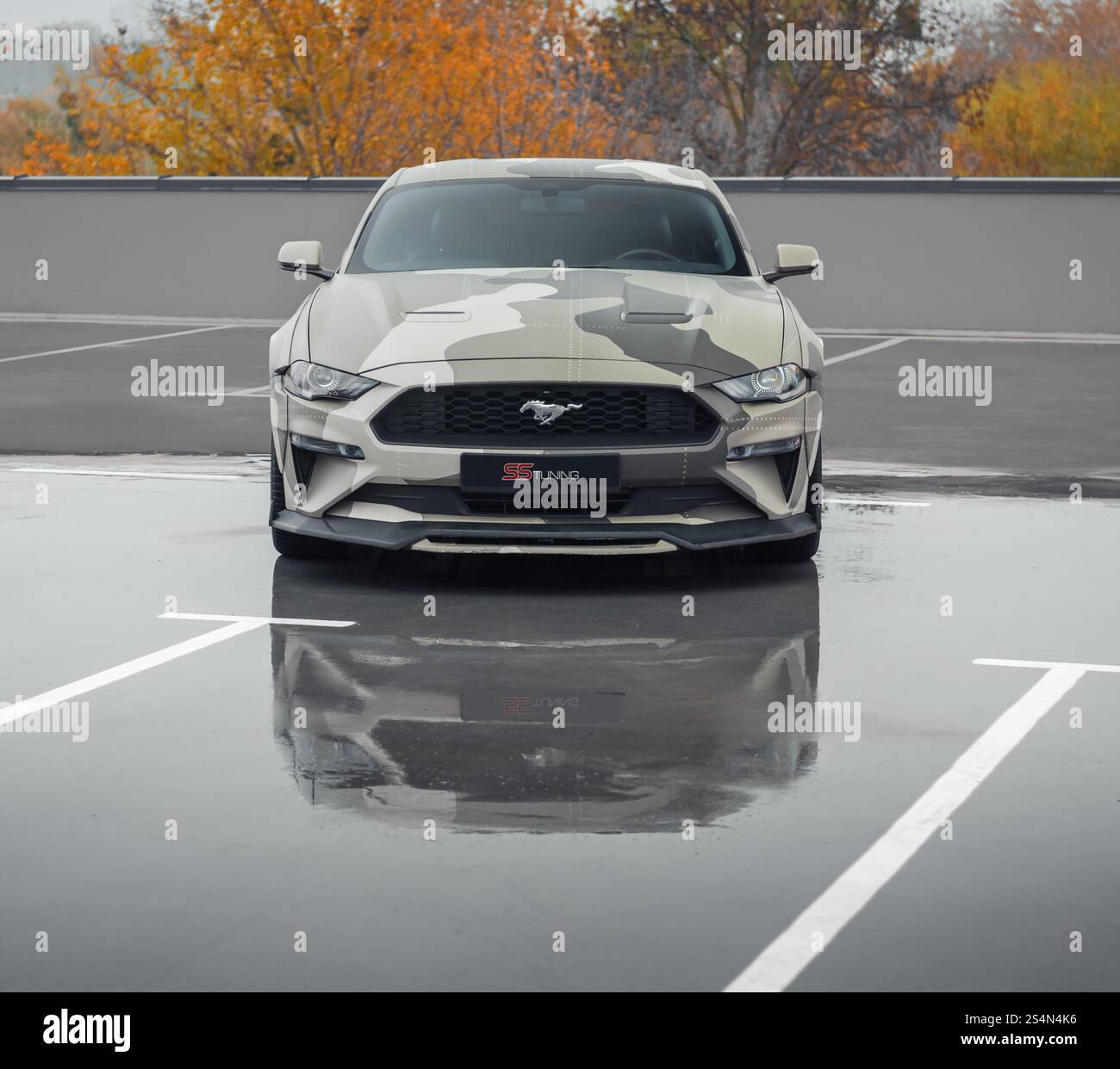 Grünlicher Camo Ford Mustang auf dem Parkplatz. Vorderansicht eines amerikanischen Ponywagens, das auf nassem Betonboden geparkt ist, Herbstbäume im Hintergrund. Stockfoto