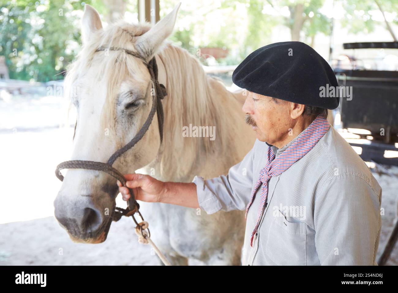 Ein Gaucho mit seinem Pferd in der Estancia El Ombu, San Antonio de Areco, Provinz Buenos Aires, Argentinien. Stockfoto