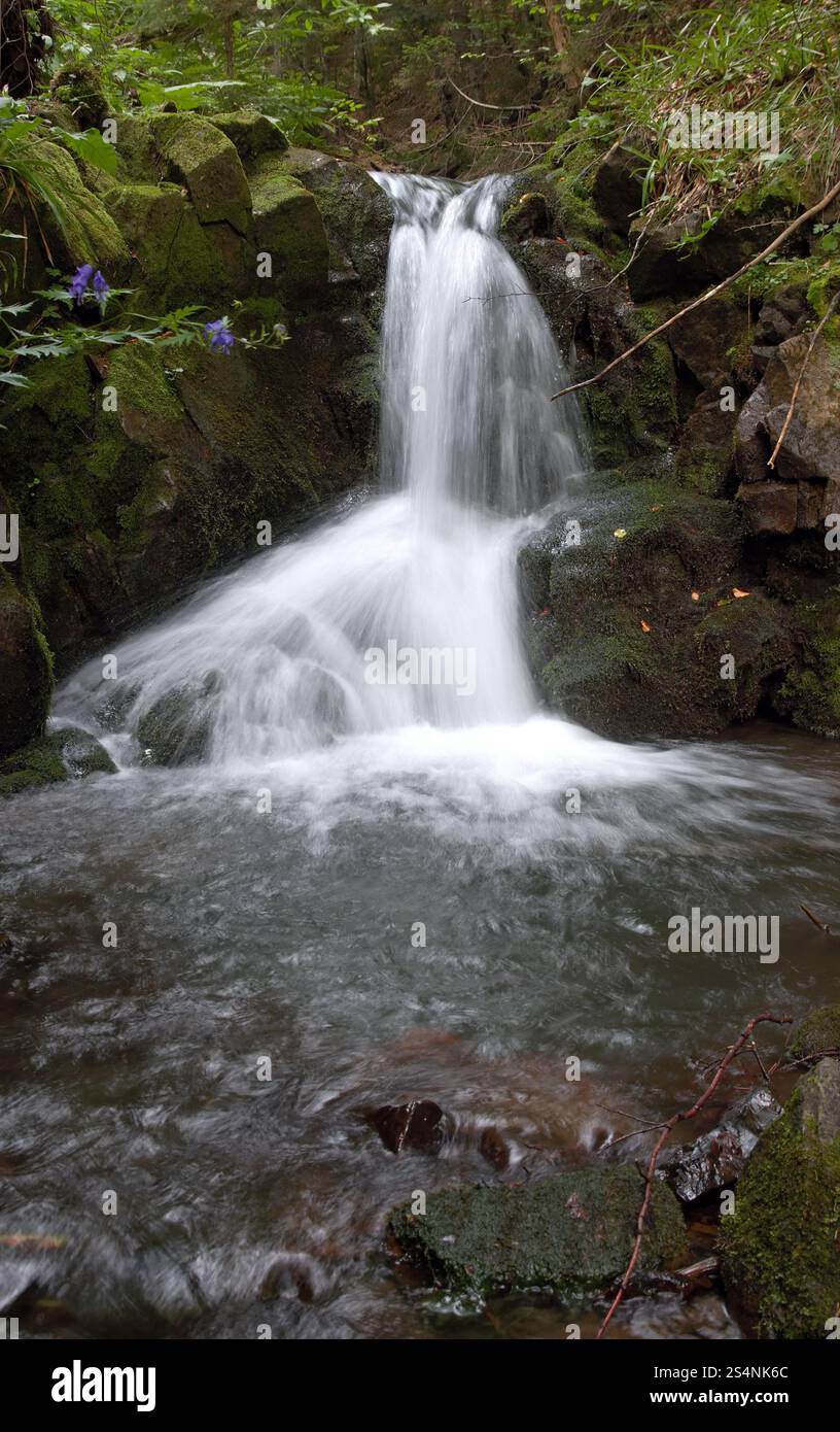 Berg-Wasserfall in dunklen wilden Carpathian forest Stockfoto