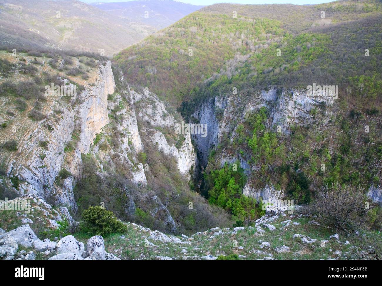 Frühling große Krim Canyon Mountain View mit und Kiefern am Hang (Krim, Ukraine). Stockfoto