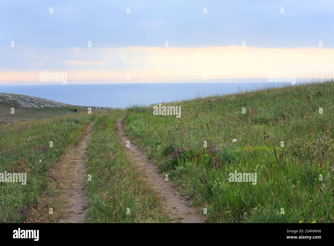 Wiesen am Abend Sommer Meer Küste und Sonne Spiegelungen im Wasser Stockfoto Wiesen am Abend Sommer Meer Küste und Sonne Spiegelungen im Wasser Stockfoto