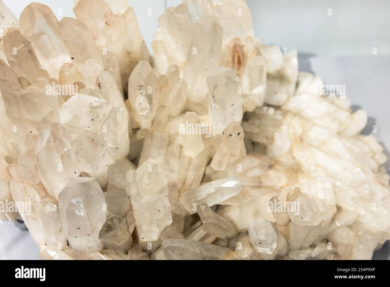 Quarz, Druse prismatischer Kristalle mit Phantomen. Abstrakte natürliche mineralische Hintergrundfotostruktur Stockfoto