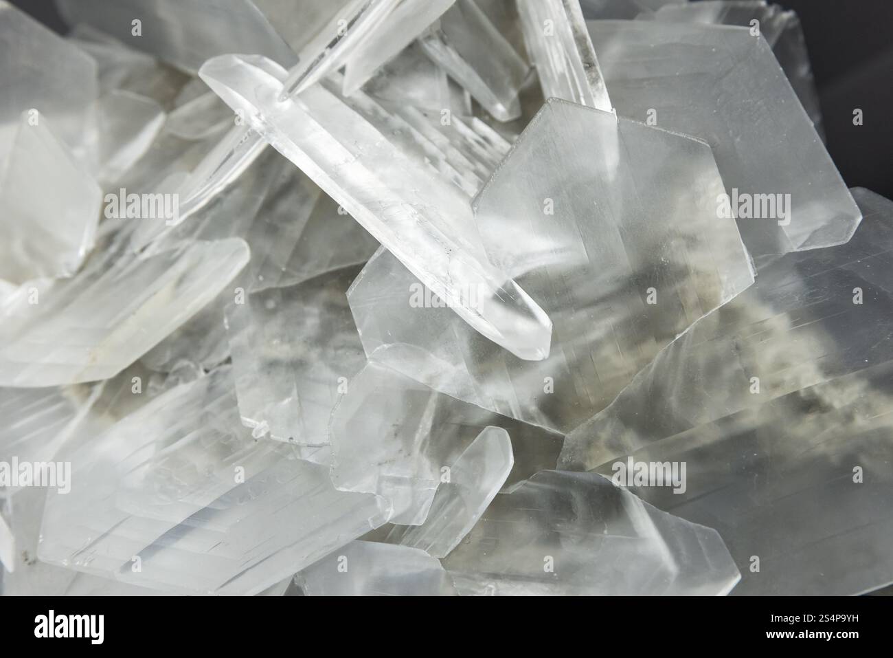 Gips, Druse von Plattenkristallen. Abstrakte natürliche mineralische Hintergrundfotostruktur Stockfoto