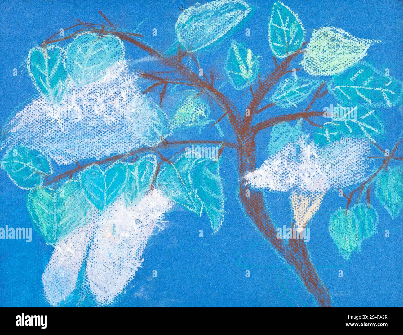 Kinder Zeichnung - Zweig mit weißen Blüten im Frühjahr Stockfoto