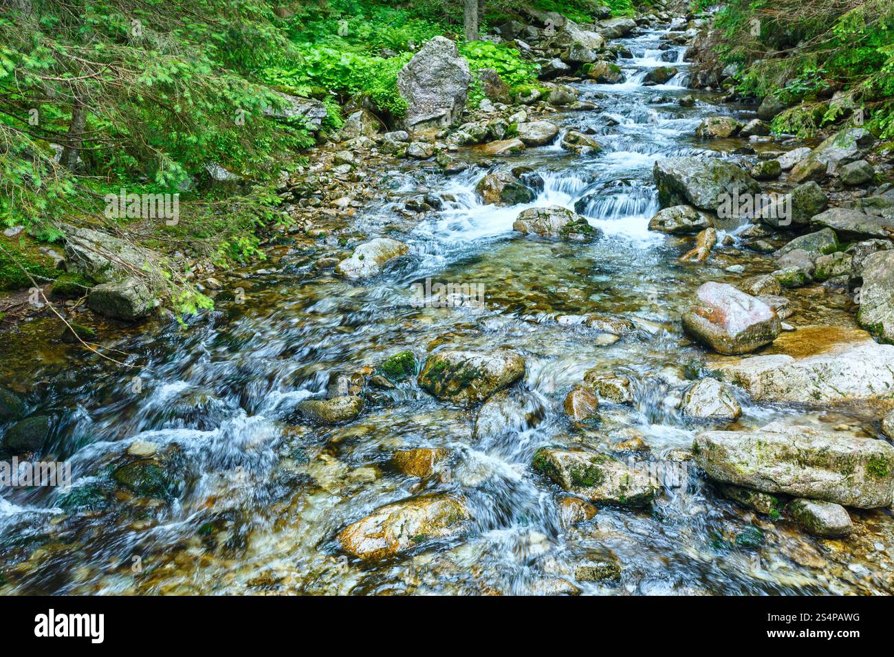 Schöne Berg Sommer Blick auf den Fluss mit sauberem Wasser (Polen). Stockfoto