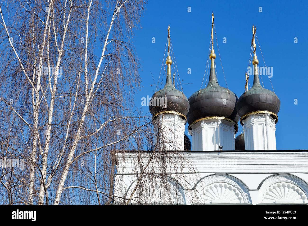weiße Birke und weißen Wänden der russischen Kirche (Kirche St. Nikolaus in Tolmachi, Moskau) Stockfoto