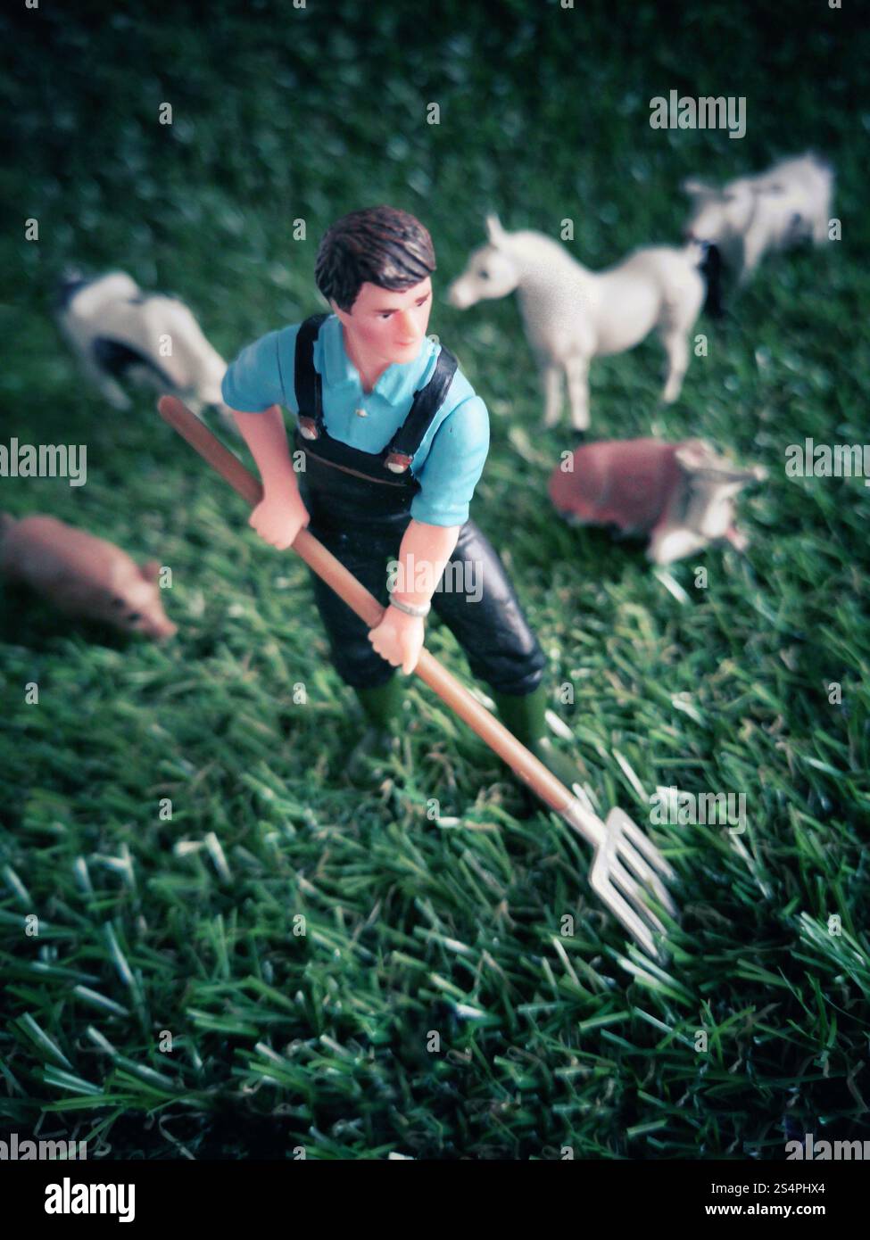 Landwirt, der auf künstlichem Gras in einem Miniaturbetrieb Viehzucht pflegt - Smartphone-aufgenommenes Stockfoto