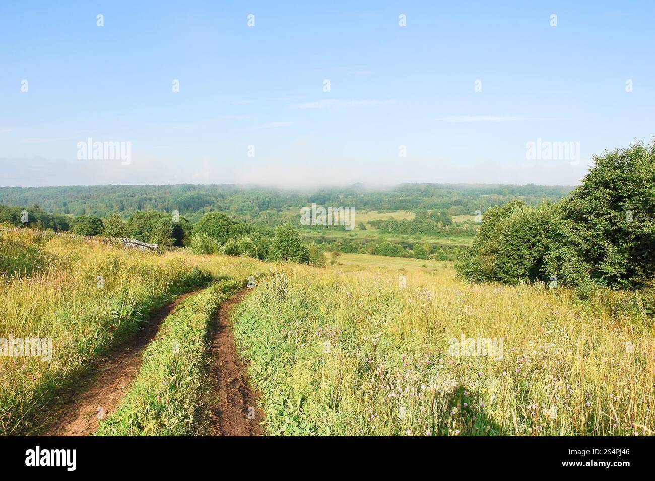 Landstraße auf der grünen Wiese im Sommertag, Russland Stockfoto