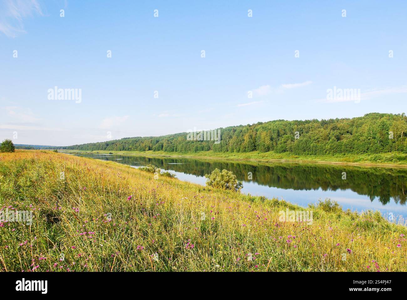 grünen Rasen am Ufer im Sommertag, Russland Stockfoto